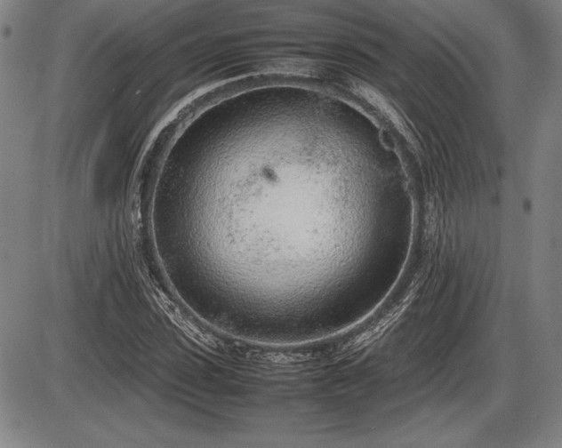 X0000086230923200703291325