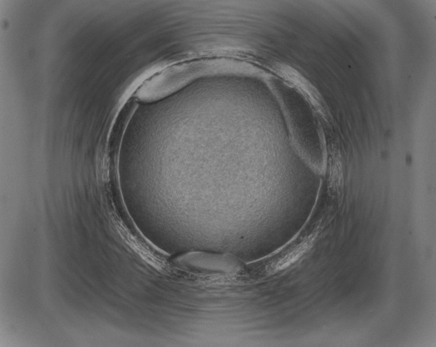 X0000086230924200703291325