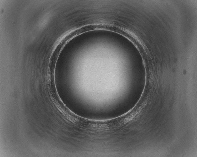 X0000086230927200703291326