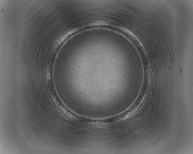 X0000086230929200703291326