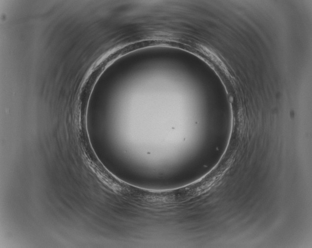 X0000086230931200703291326