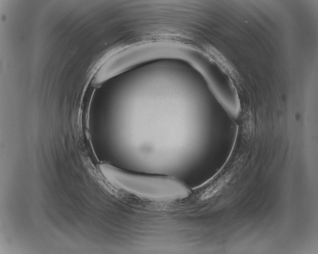 X0000086230932200703291326