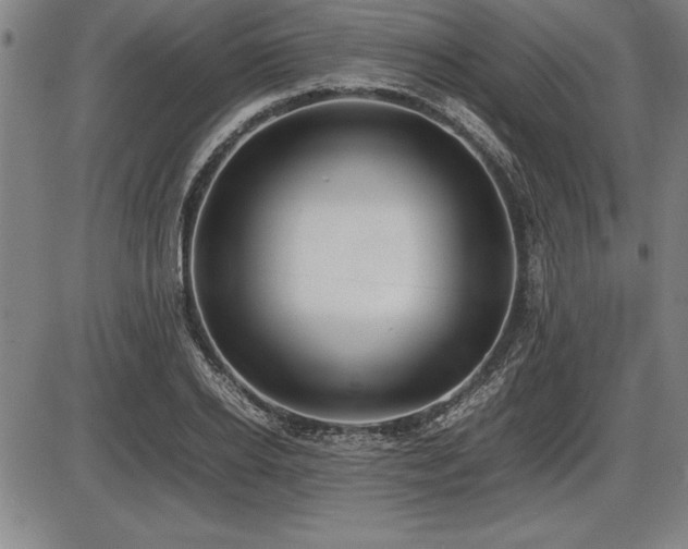 X0000086230934200703291326