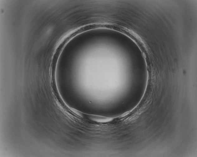 X0000086230935200703291326