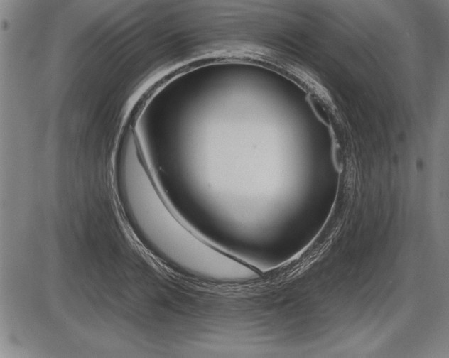 X0000086230936200703291326