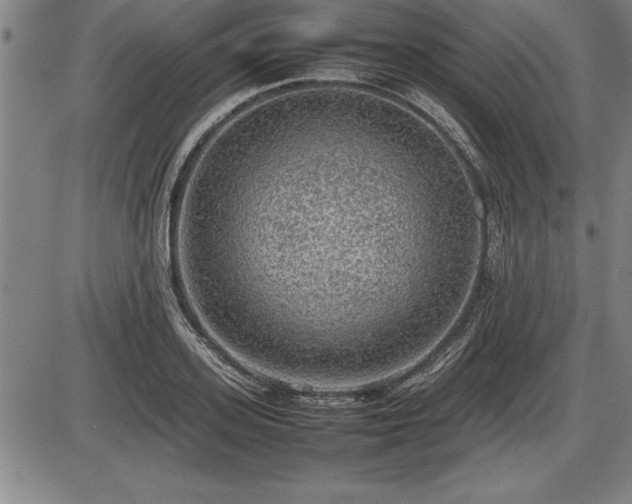 X0000086230939200703291326