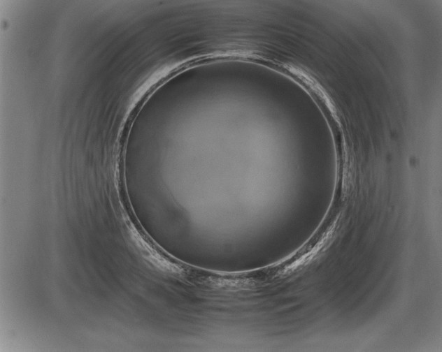 X0000086230941200703291326