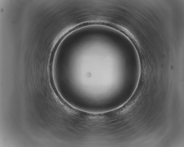 X0000086230943200703291326