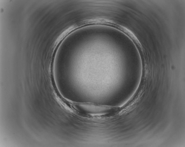 X0000086230946200703291326