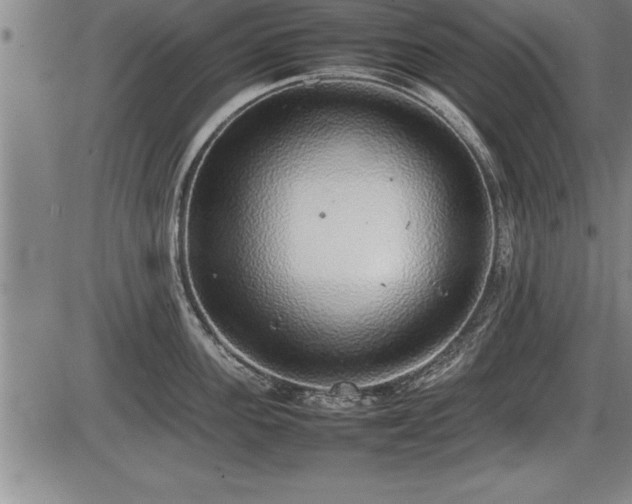 X0000086230955200703291326