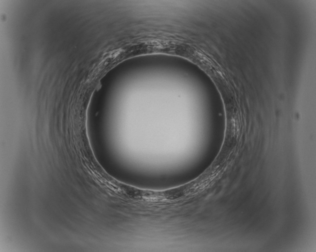 X0000086230961200703291325