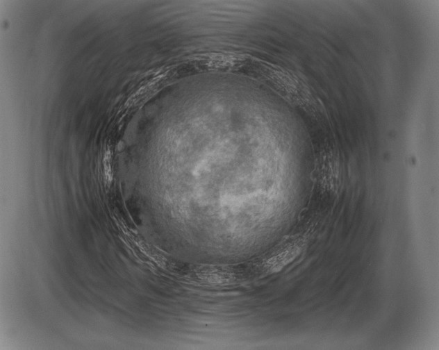 X0000086230962200703291325