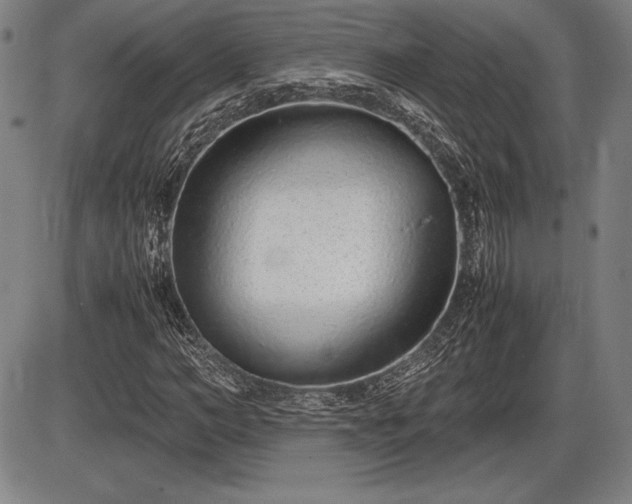X0000086230966200703291325
