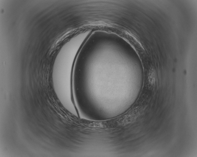 X0000086230968200703291325