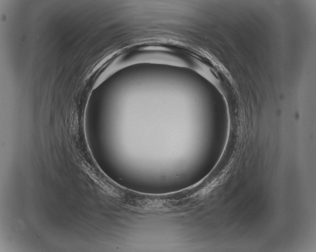 X0000086230969200703291325