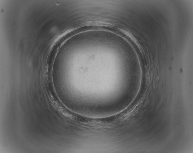 X0000086230971200703291325