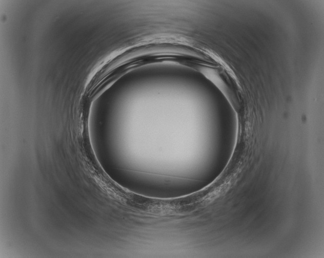 X0000086230973200703291325