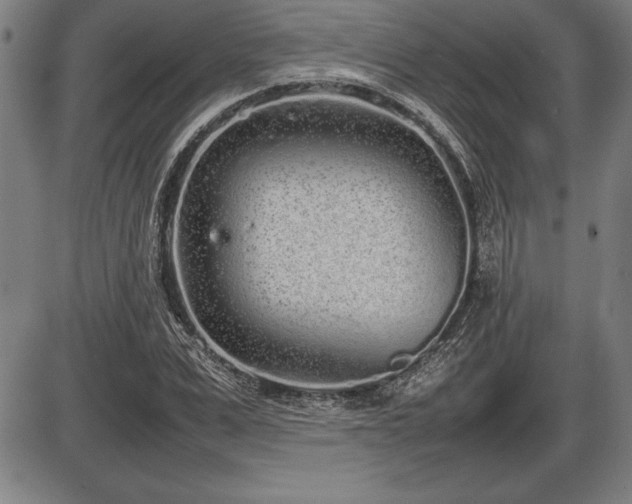 X0000086230975200703291325