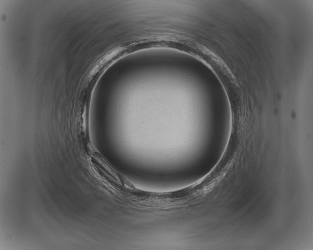 X0000086230977200703291325