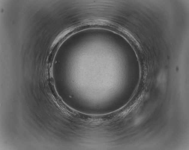 X0000086230978200703291325