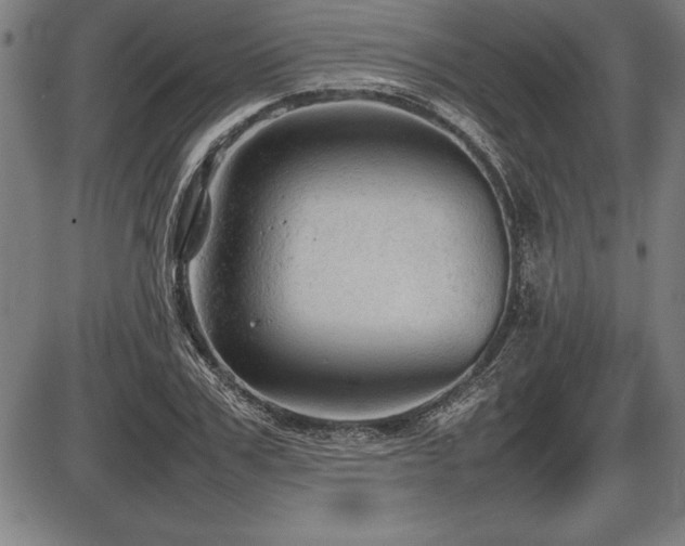 X0000086230979200703291325