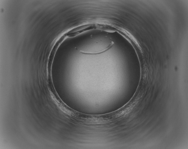 X0000086230980200703291325