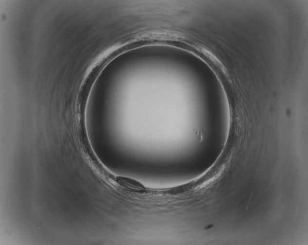 X0000086230981200703291325