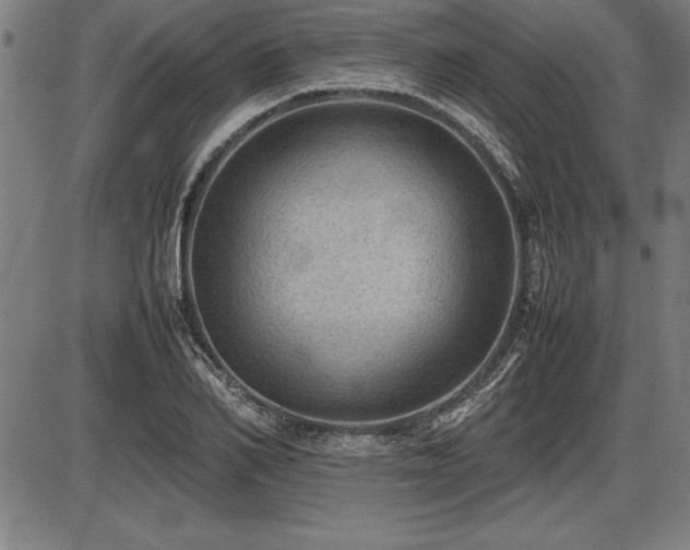 X0000086230982200703291325