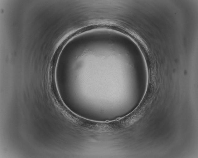 X0000086230983200703291325