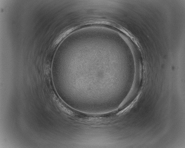 X0000086230985200703291325