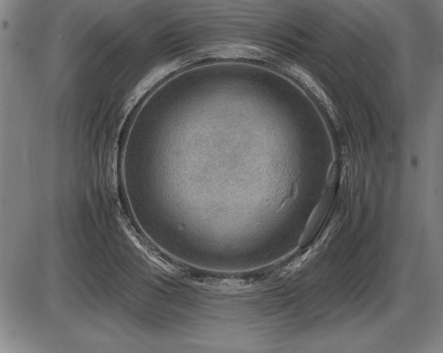 X0000086230986200703291325