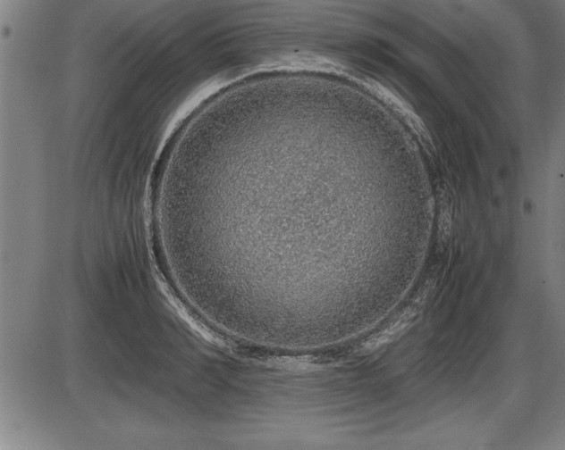 X0000086230990200703291325