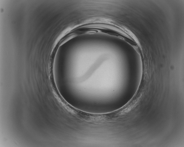X0000086230997200703291325