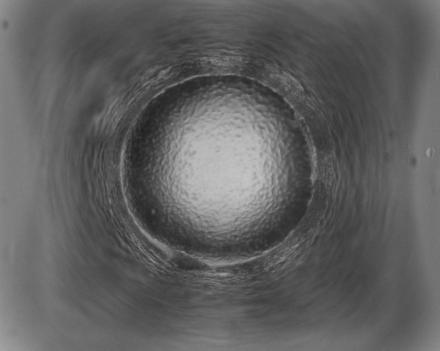 X0000086231009200703291324