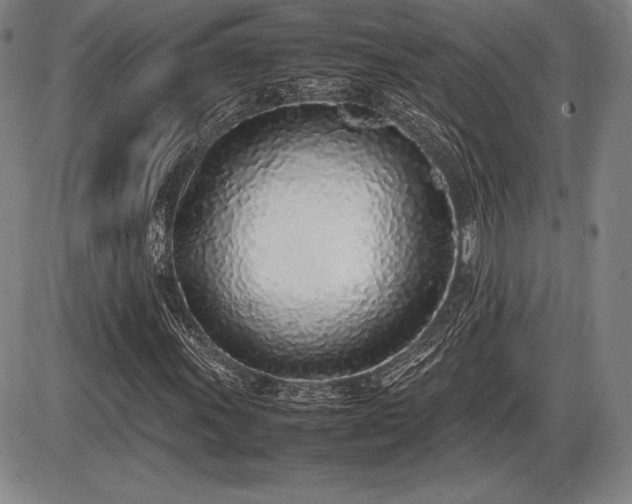 X0000086231011200703291324