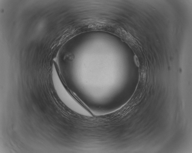 X0000086231012200703291324
