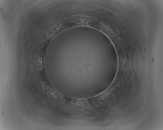 X0000086231013200703291324
