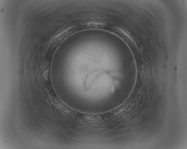 X0000086231015200703291324