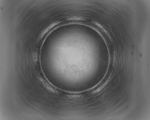 X0000086231017200703291324
