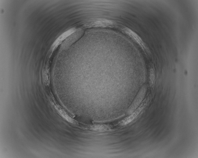 X0000086231018200703291324
