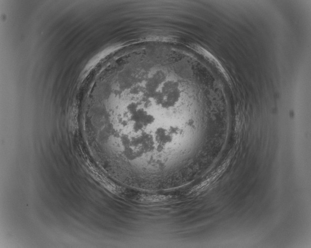 X0000086231019200703291324