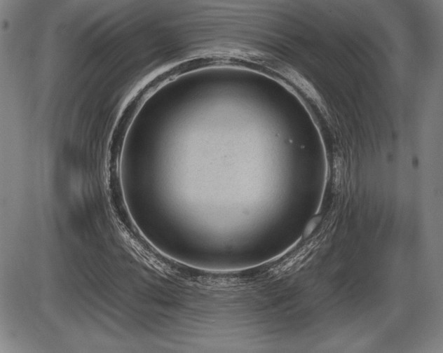 X0000086231020200703291324