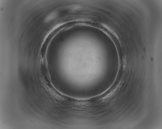 X0000086231021200703291324