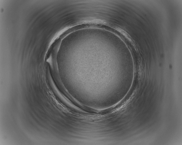 X0000086231022200703291324