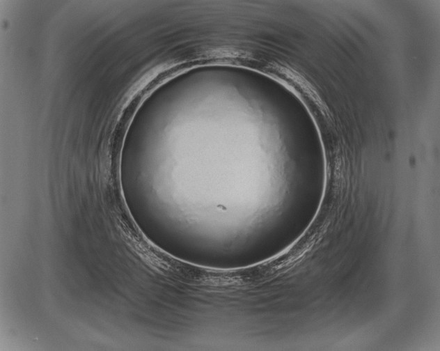 X0000086231023200703291324