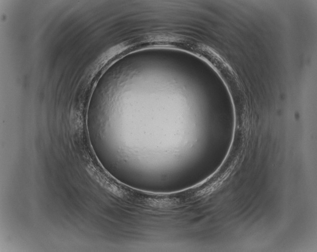 X0000086231025200703291324