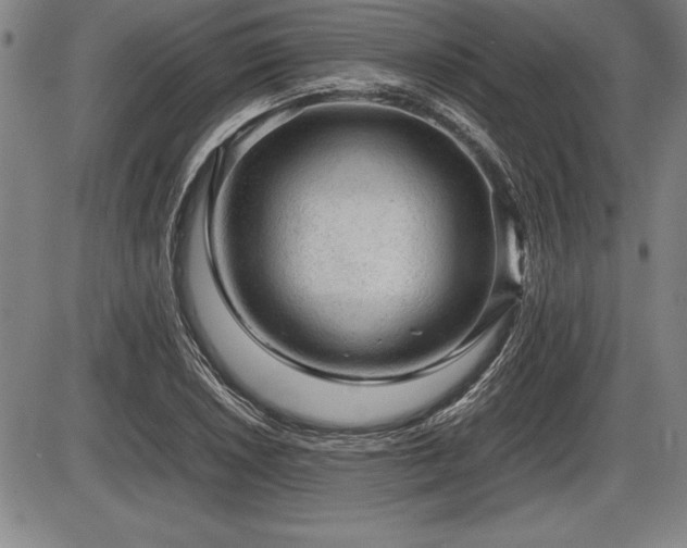 X0000086231026200703291324