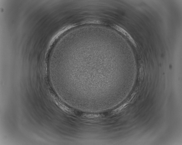 X0000086231027200703291324