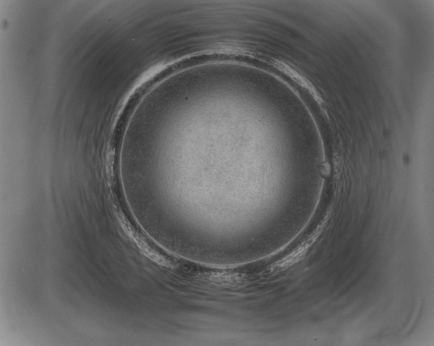 X0000086231029200703291324