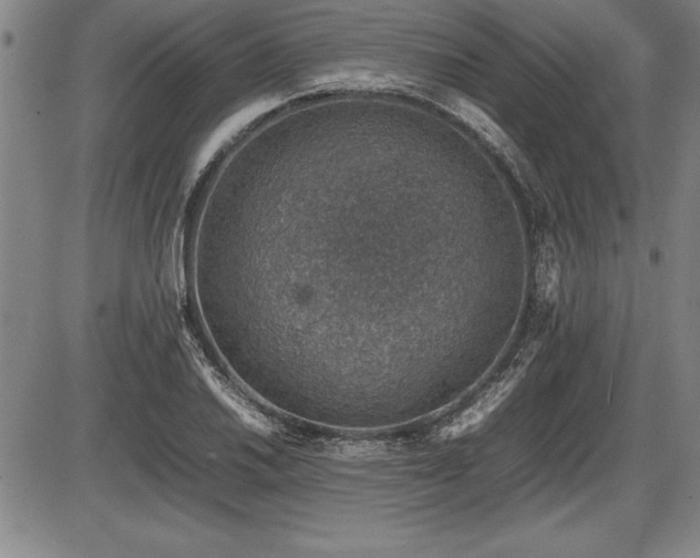 X0000086231030200703291324